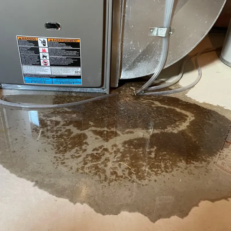 Appliance Leak Cleanup in Avenue B and C, AZ